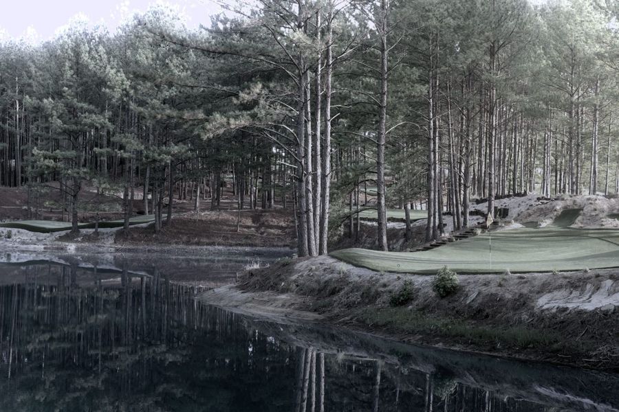 Moody black and white photo of pines and a green reflected in a pond at Tobacco Road